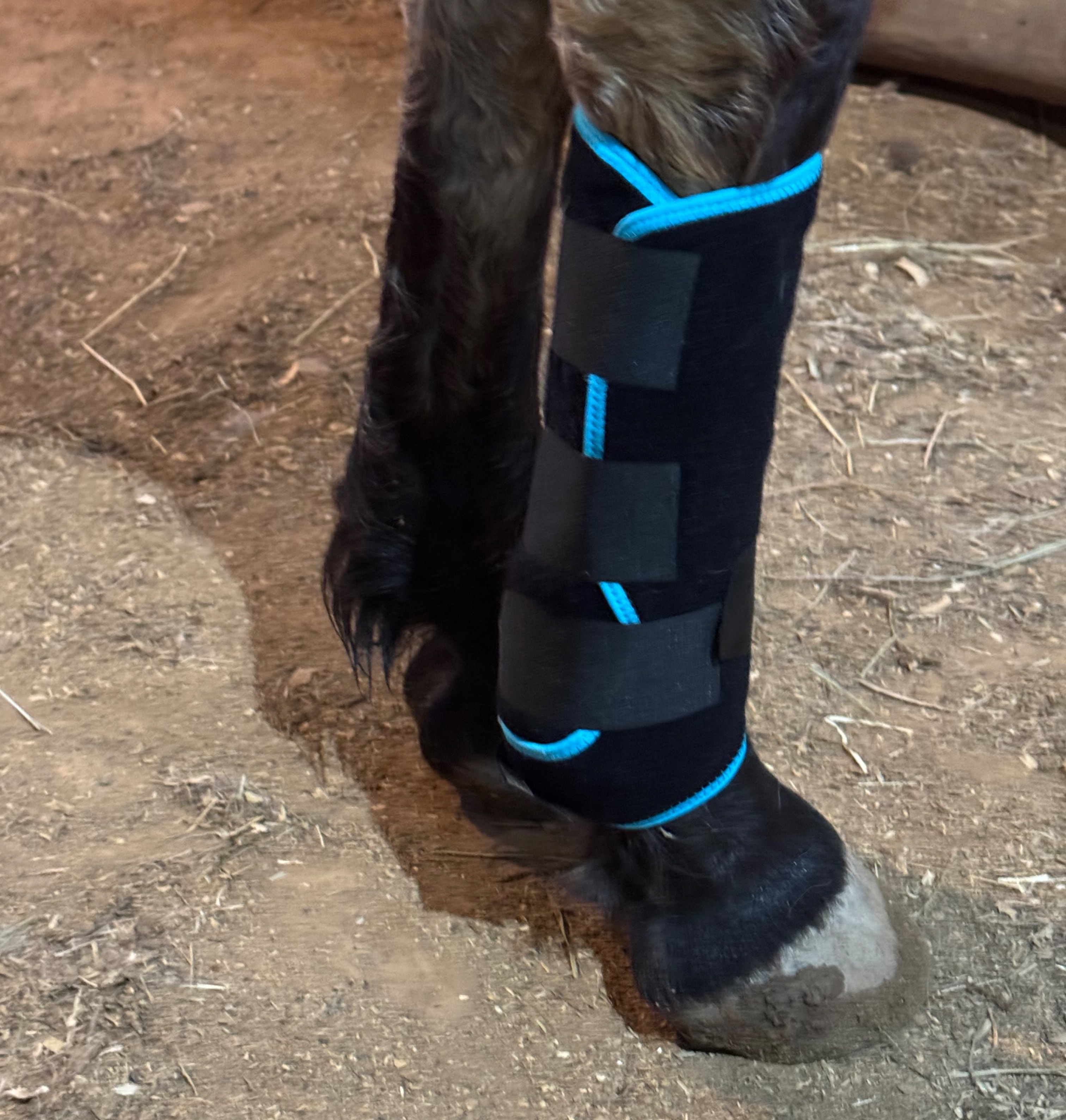 ICEolate protective boot on horse leg